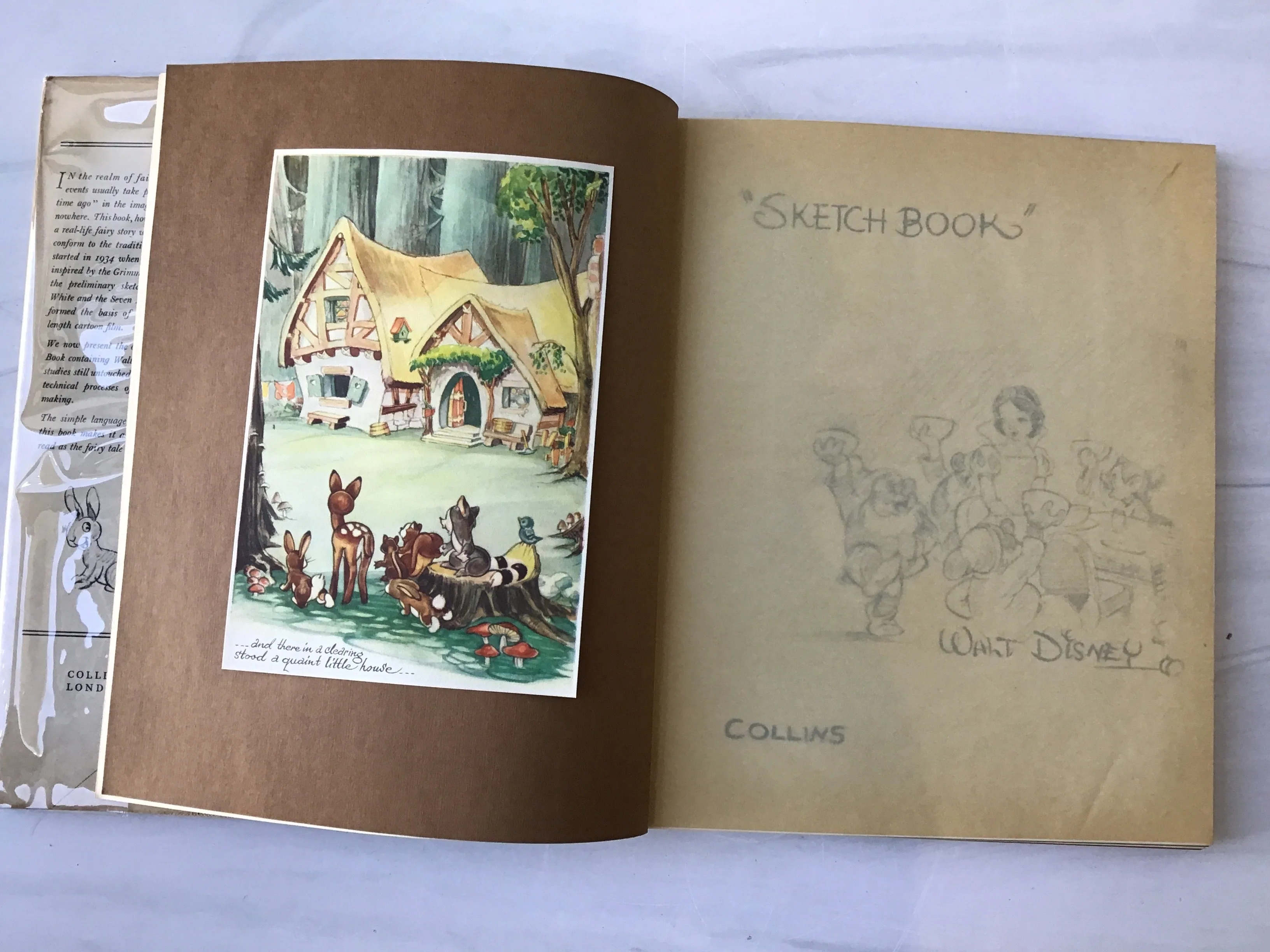 -Walt Disney's Sketch Book*