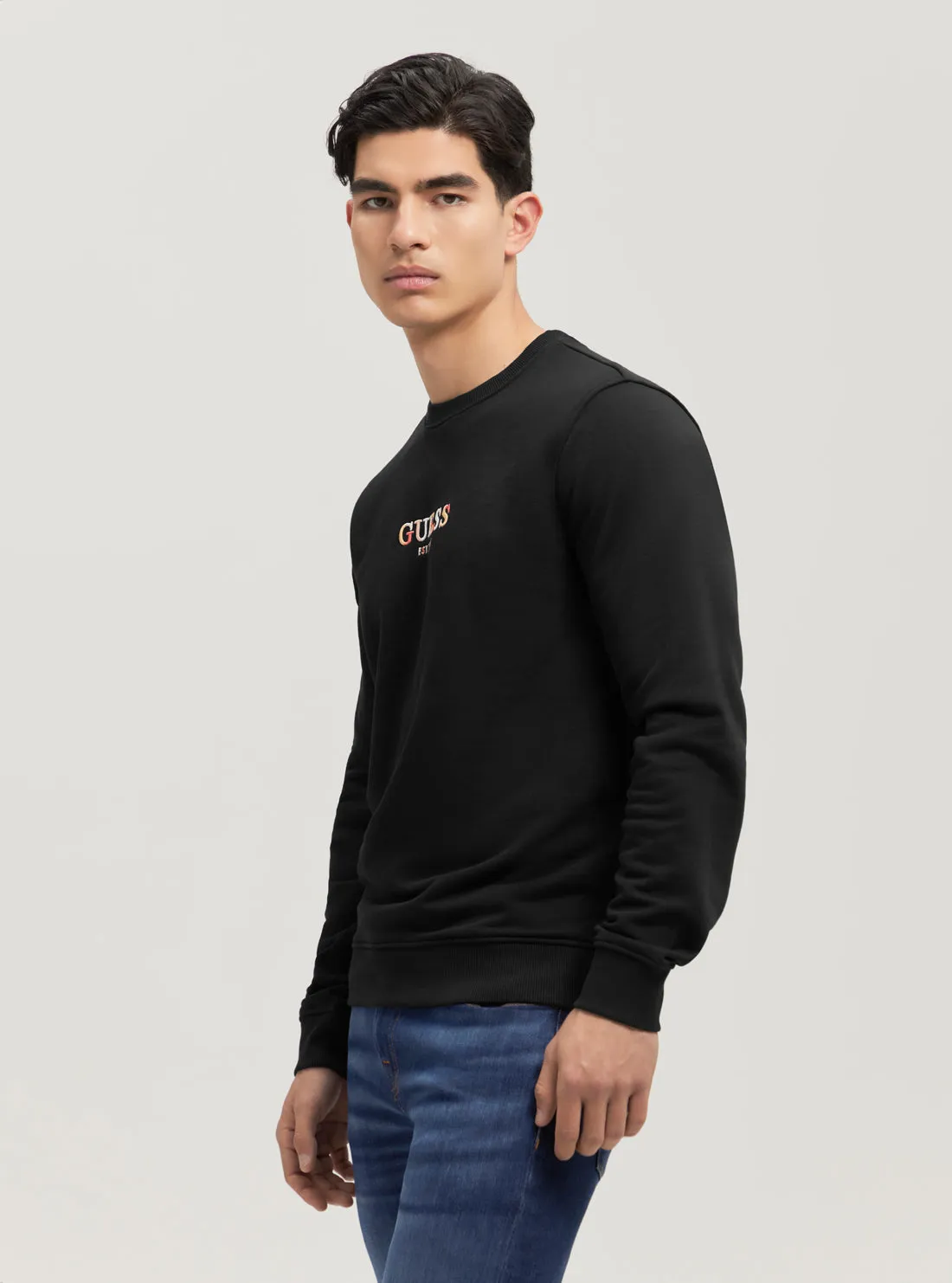 Eco Black Multicolour Logo Jumper