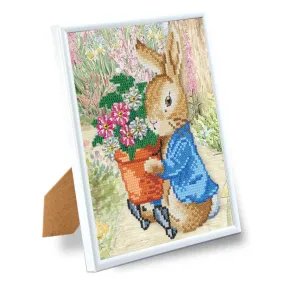 "Peter Rabbit" Crystal Art Framed Kit 21x25cm