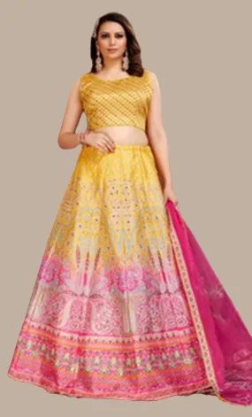 Yellow Printed Embroidered Choli Set